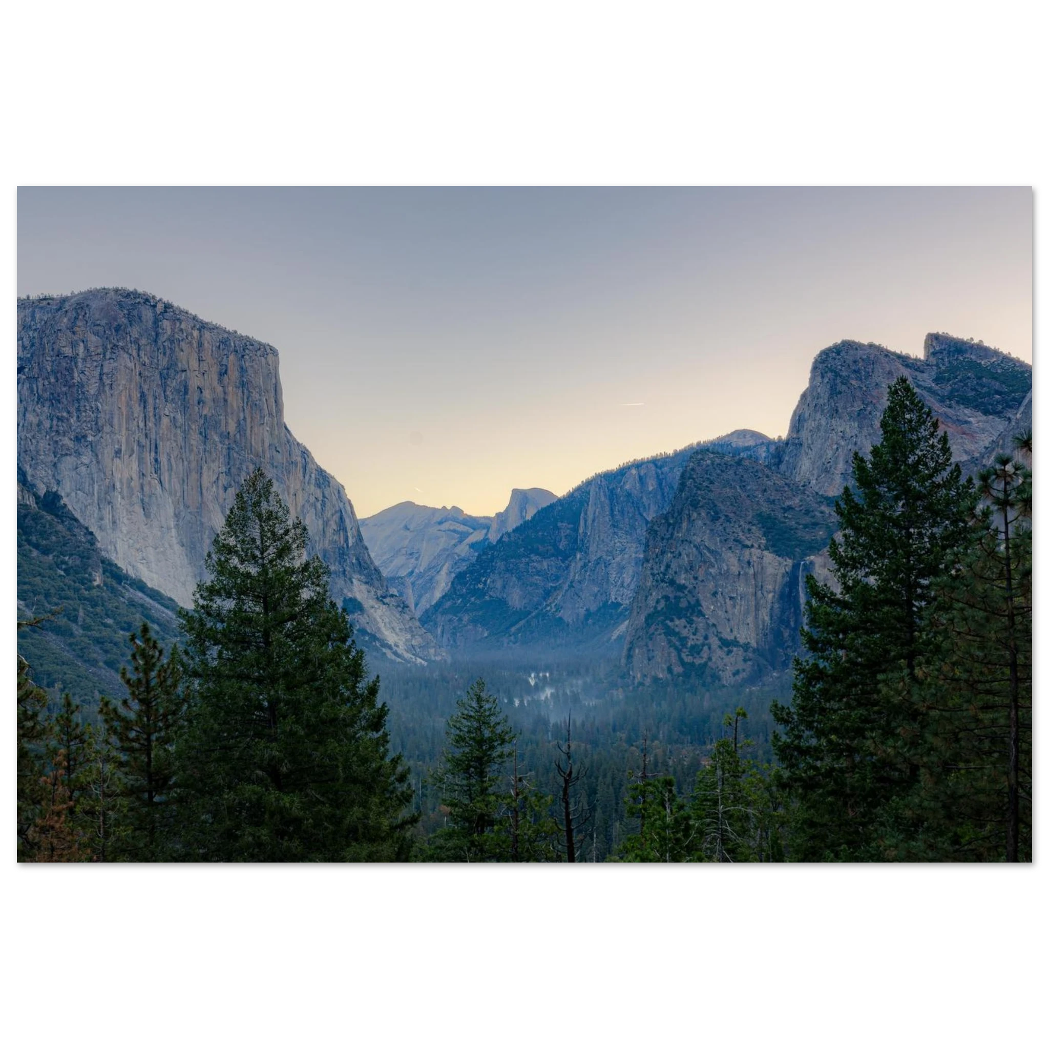 3917e29d-8348-4157-9340-d771979cecda