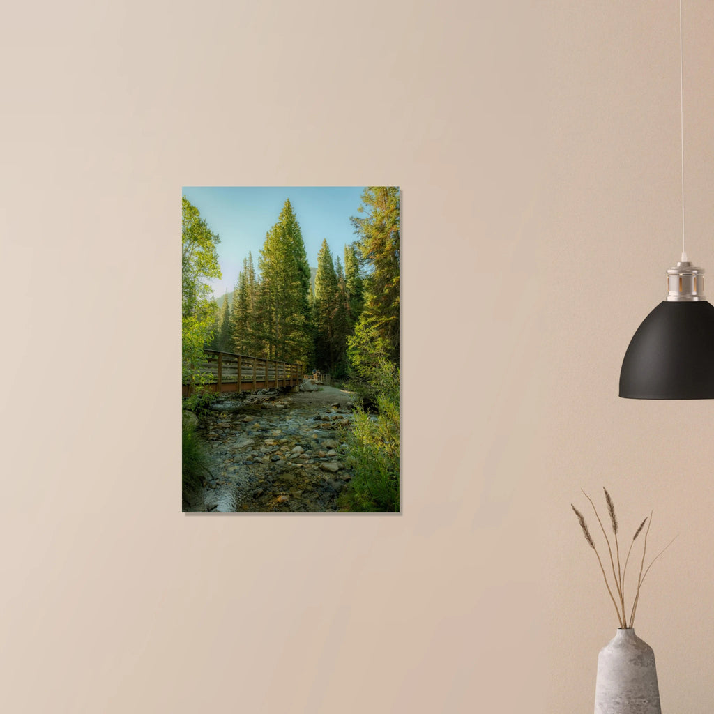 42d76dd3-dfb9-40cf-bc8a-acfc4a59d705