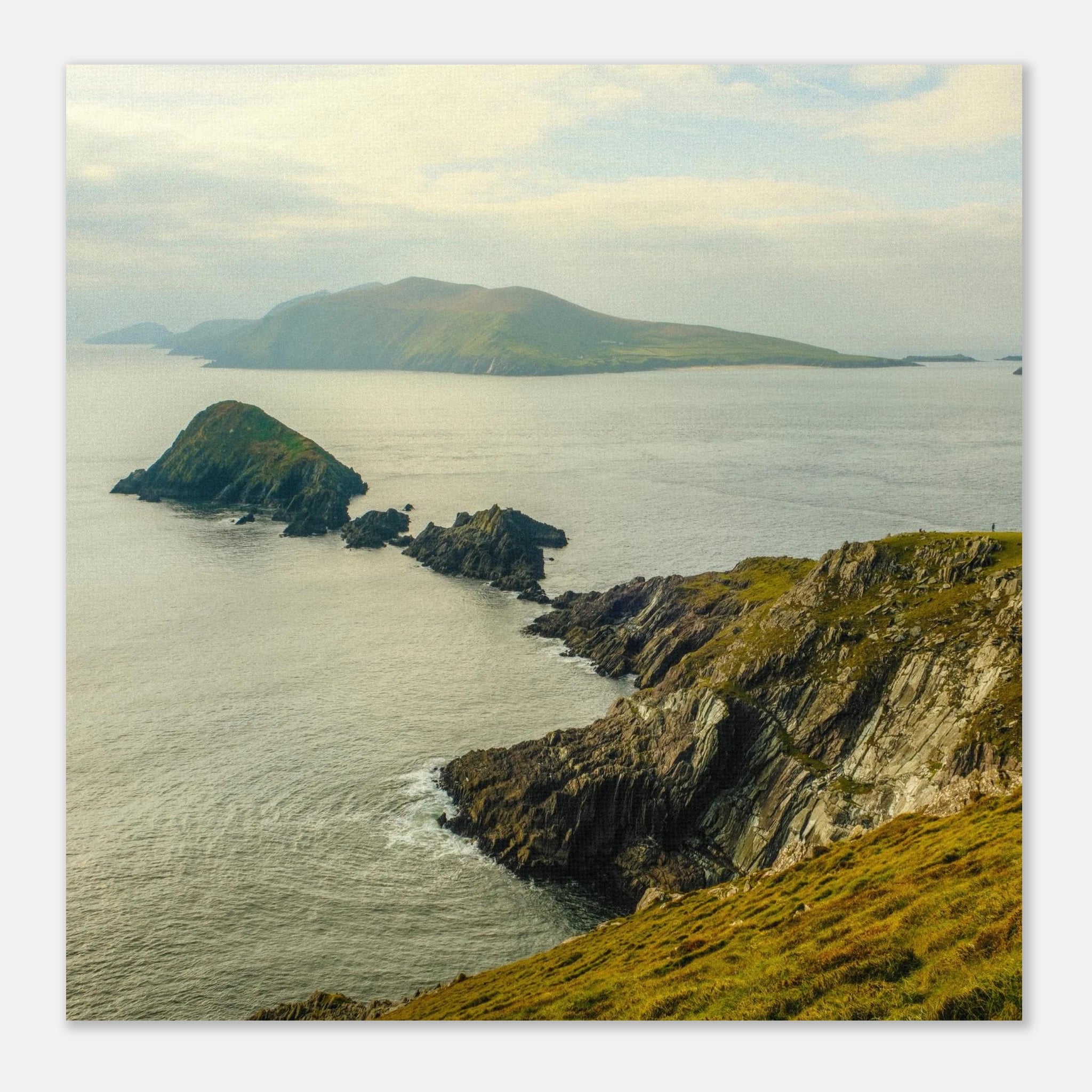 6290e797-cf42-42ec-8b9f-bdba537f4129