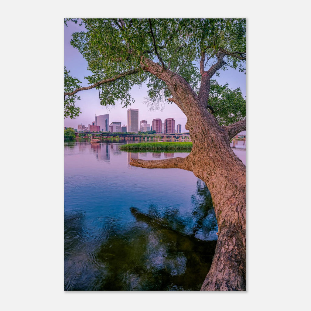 7b187ce2-11f9-432d-9adb-8f5ec84dd6fb