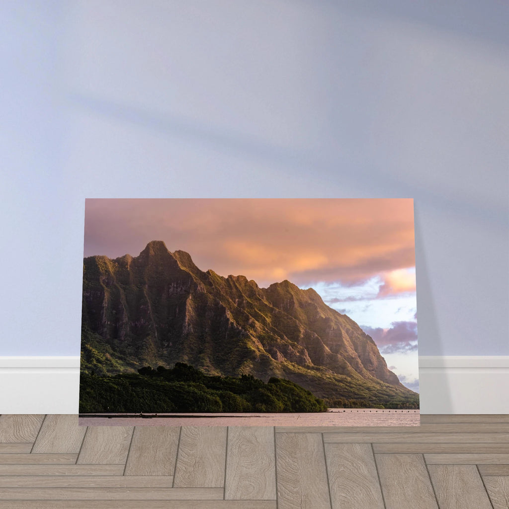 9038c9a8-9c66-4aa7-b864-cb8fd91d89c9