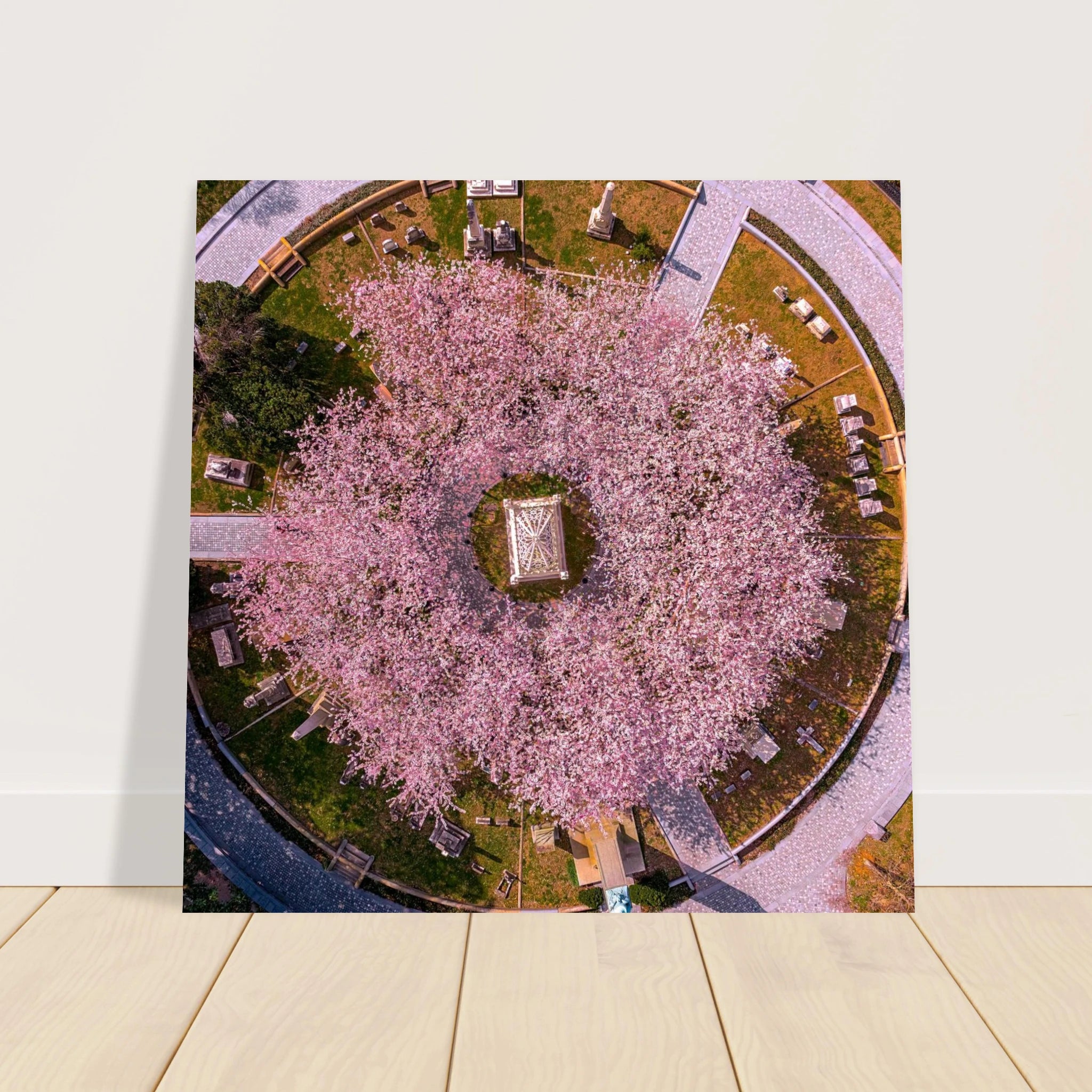 b89d4a36-bbe5-4ec1-885f-95e5d998bf3d