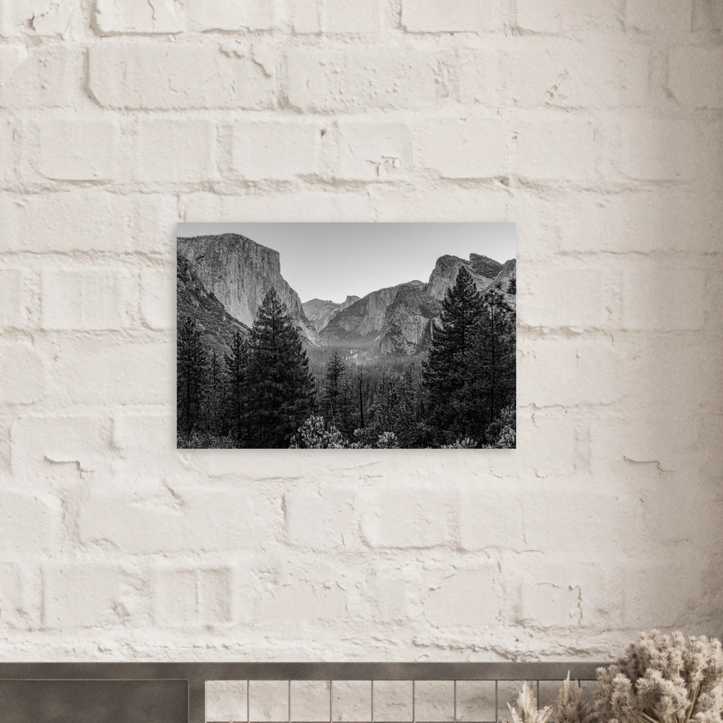 b8da0ea7-82d2-42c0-adb0-7a5440135738