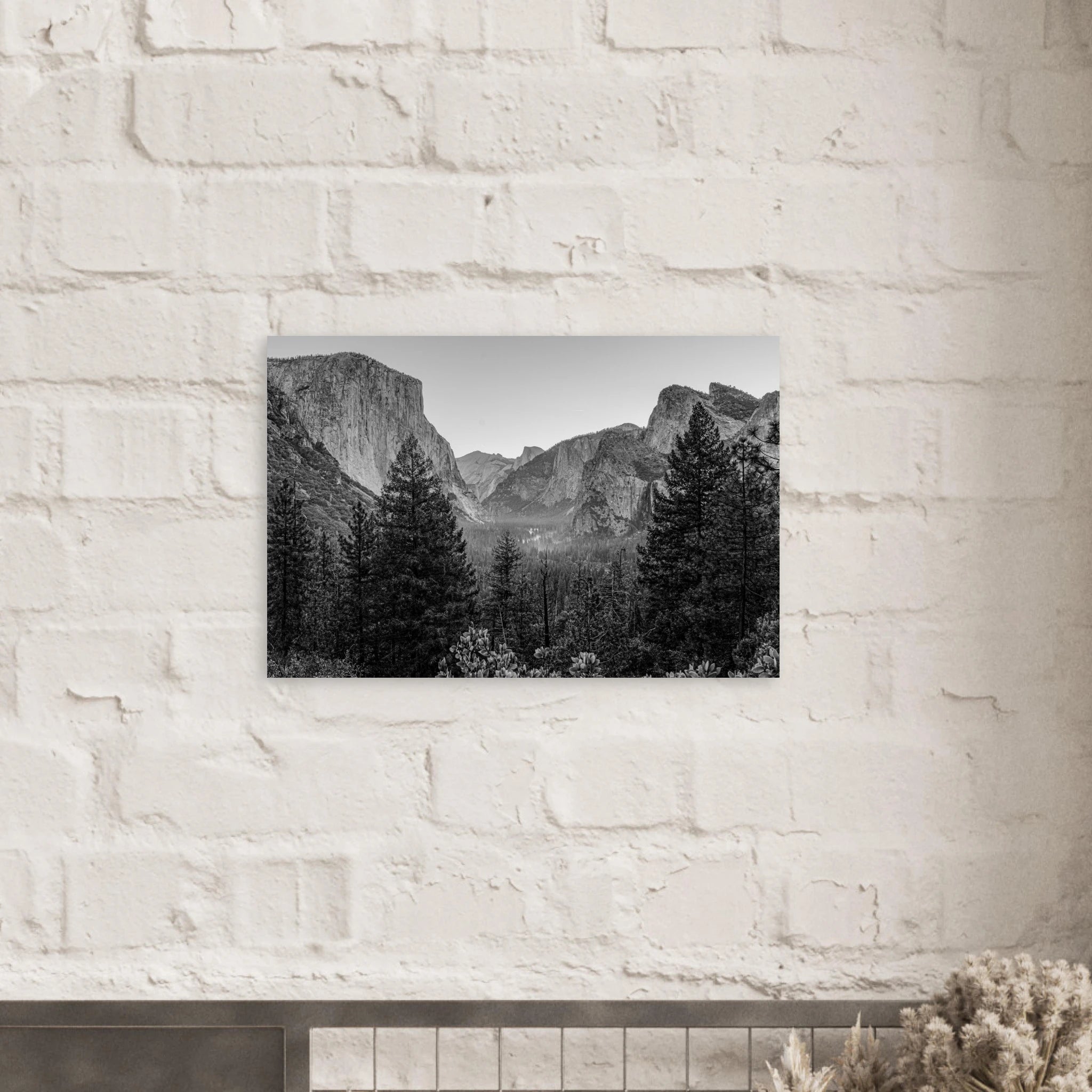 b8da0ea7-82d2-42c0-adb0-7a5440135738