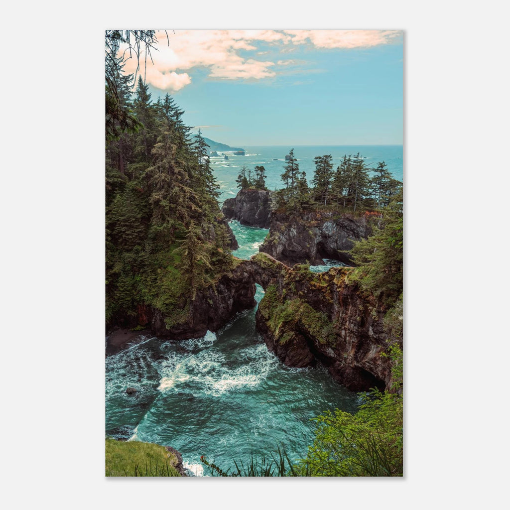 bcf1a4c4-0893-452e-b819-a290f412dc36