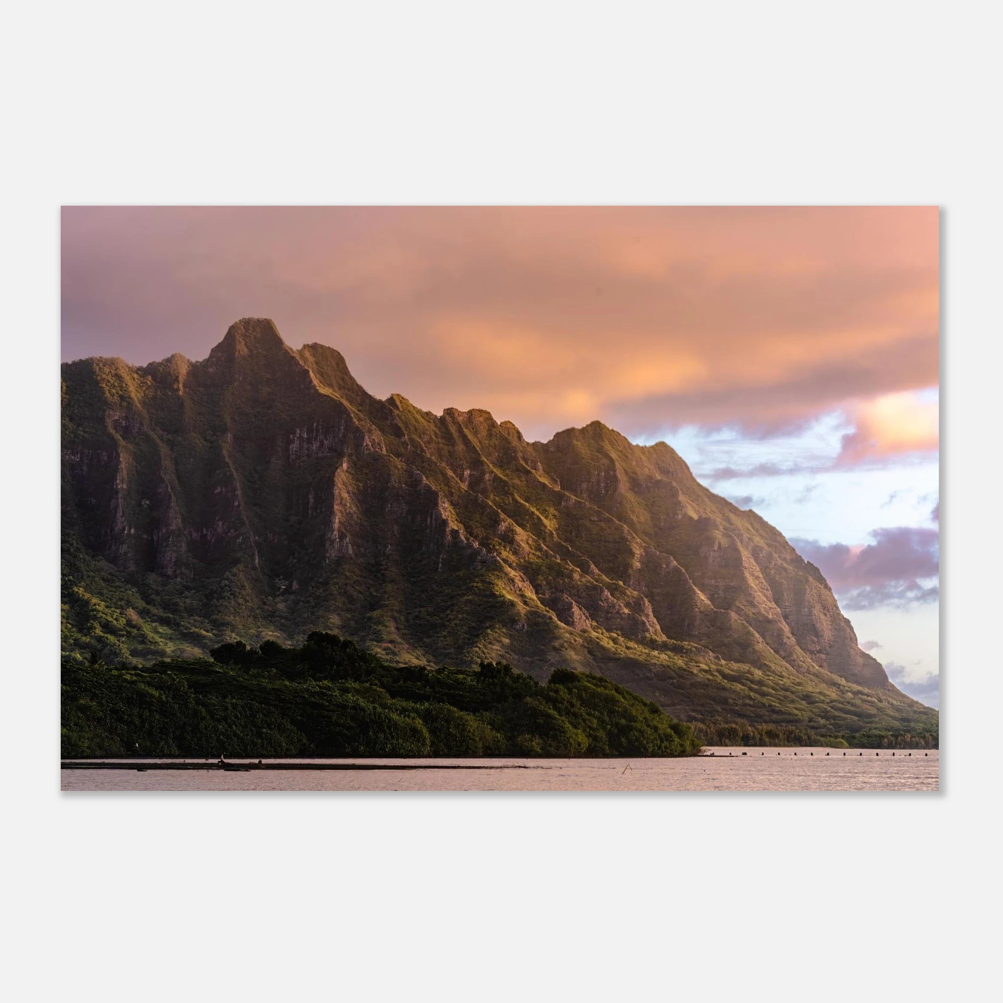 d4cf0ede-47b2-4dd2-9a4d-477afd17f150